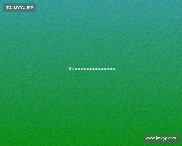 FIFA中国队冲击世界杯赛场书写足球新篇章梦想征途热血启航之路